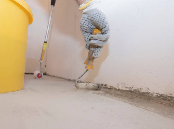 Best Termite Inspection and Treatment  in Pittsburgh, PA